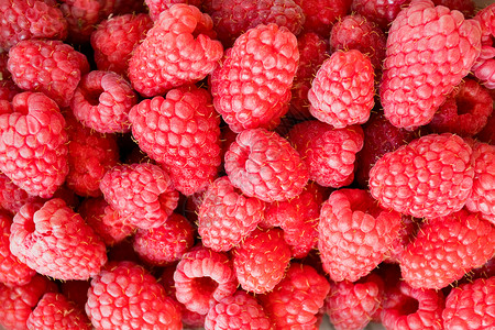新鲜甜的草莓背景图片