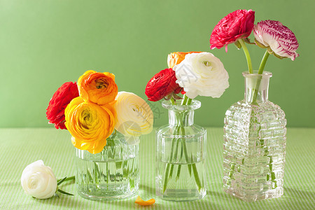 绿色背景的花瓶朵图片