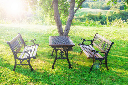 夏季绿色阳光明媚的花园桌椅夏季绿色花园的桌椅图片