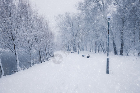 冬季雪城市公园小巷树上布满雪的木冬季公园图片