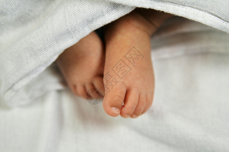 藏在白毯子里的婴儿脚图片