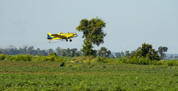 一架小飞机在农田上散布化学品图片