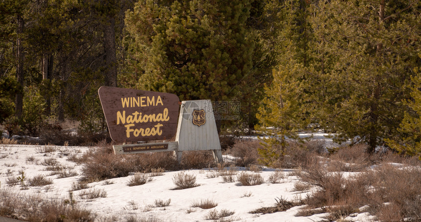 位于俄勒冈州Winema林地入口处的标志牌旁有雪图片