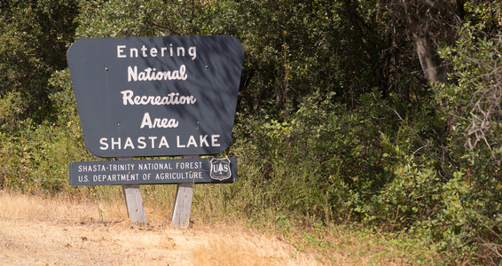 一个雕刻的木标志欢迎旅行者通过ShastaTrinity森林图片