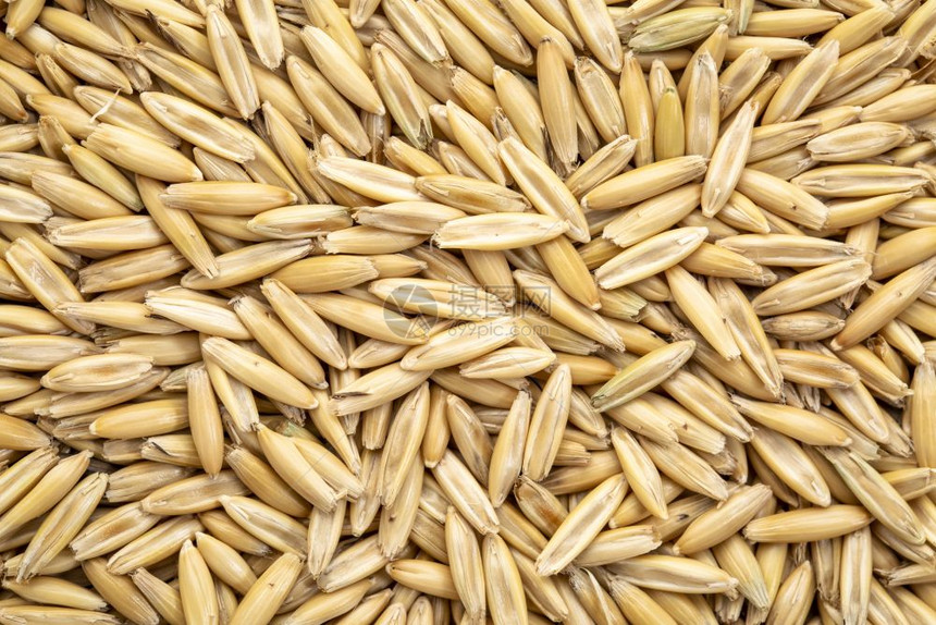 燕麦有机的整条角背景图片