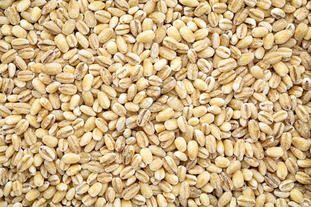 珍珠大麦谷背景图片