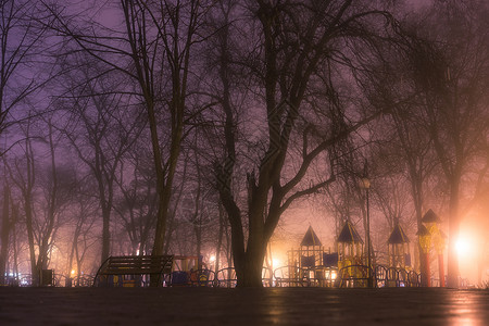 夜间城市秋天公园夜间雾图片