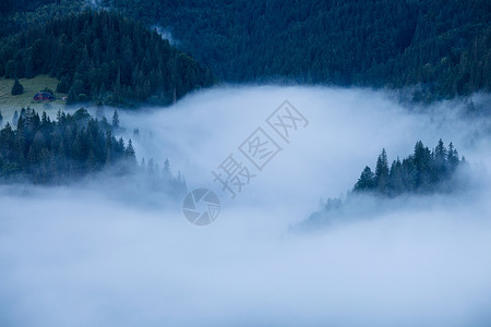 山林的迷雾风景日出前对山的全景林岳图片