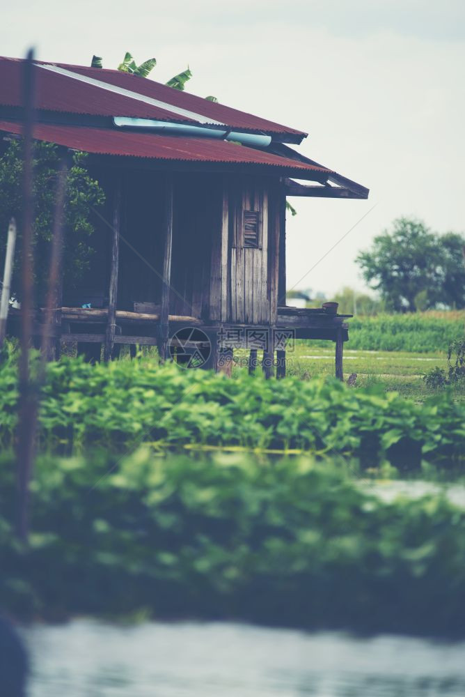 漂浮在河边的房屋风景观图片