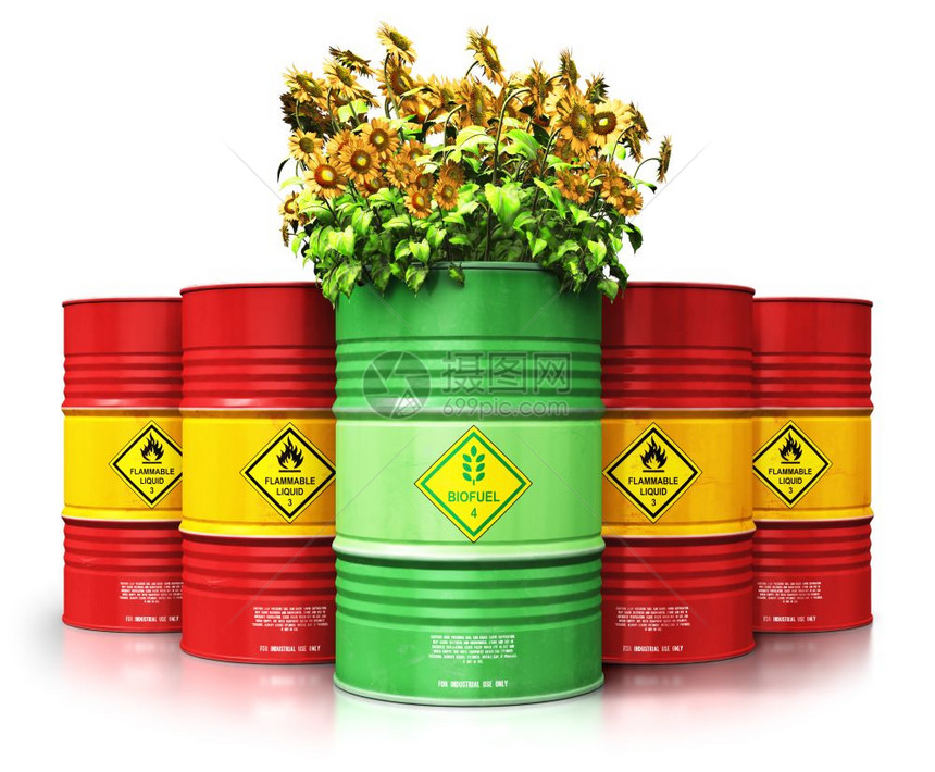 创意抽象生态替代可持续能源和环境保护节约商业概念3D将绿色生物燃料或柴油桶与黄向日葵花在白色背景孤立的红金属油石或气桶前的红色金图片
