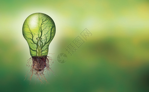 BannerBanner可再生能源概念生态灯泡有叶树枝和根图片