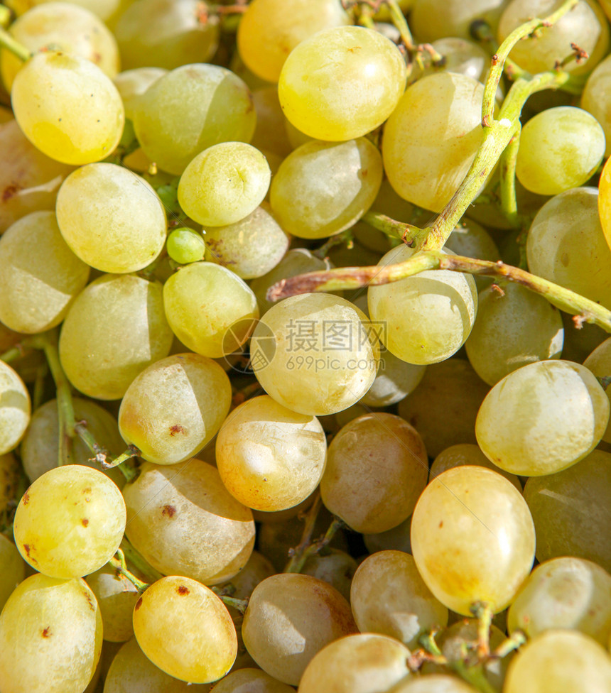新鲜葡萄背景图片