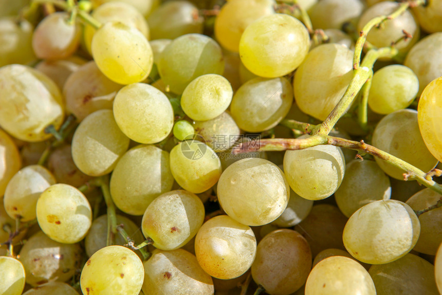 新鲜葡萄背景图片