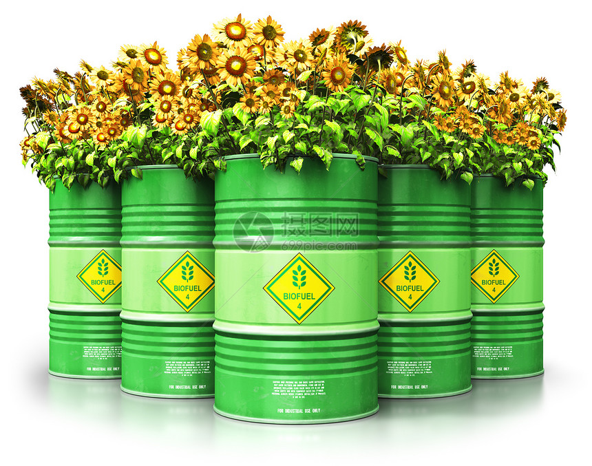 创意抽象生态替代可持续能源和环境保护节约商业概念3D表示一组绿色金属生物燃料桶或柴油黄向日葵花在白色背景中分离产生反射效果图片
