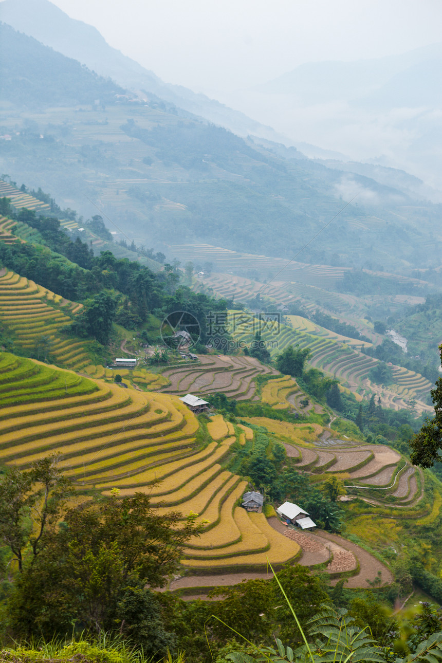 田地准备种植大米越南北部河江省HuyenHoangSuPhi的BanLuocHuyenPhi图片