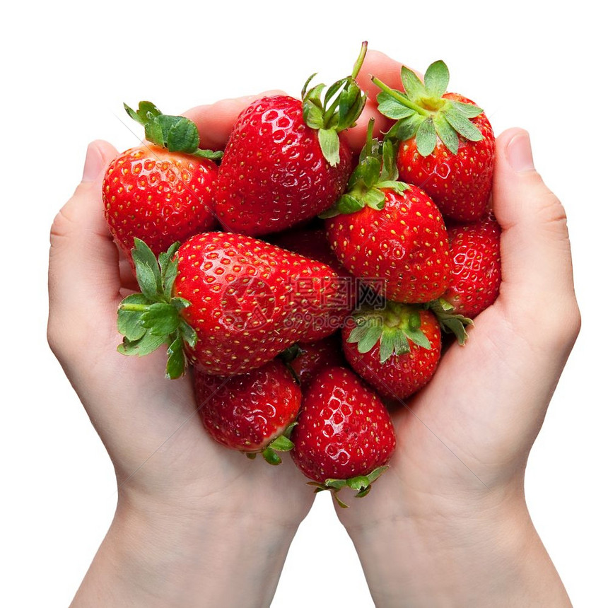 草莓在手图片