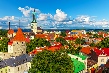 爱沙尼亚塔林的夏季风景航空全图片