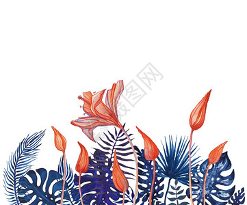 手绘植物花束摘要外表花朵手绘热带插图画花样水彩图现代风格水彩花样背景