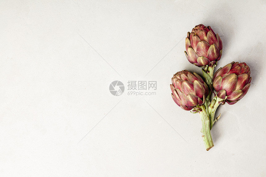 在混凝土背景上最美的洋菊花在灰色混凝土背景上最美的洋菊花图片