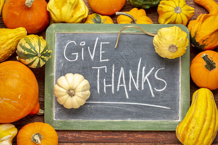 感恩节的用白粉在黑板上的话语环绕着冬季壁球和瓜子背景图片