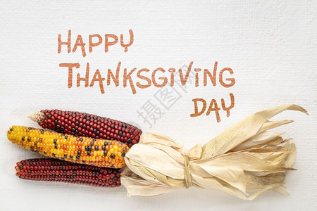 感恩节快乐贺卡装饰玉米的画布上笔迹图片
