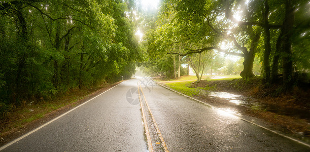 悬挑路面湿因为南部农业生产地貌的南部农业在路上下雨背景