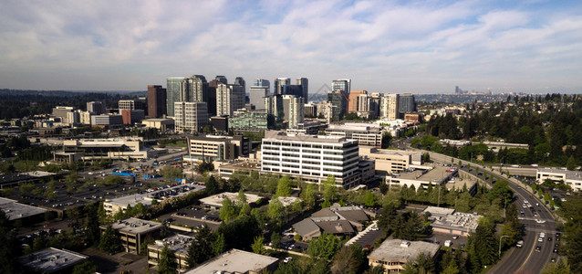 西雅图在背景中可以看到随着贝尔维尤华盛顿市的日益壮大位于地平面的图片