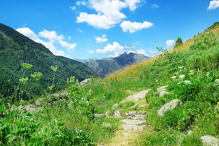 有绿草和鲜花的山地景观安道尔比利牛斯高清图片