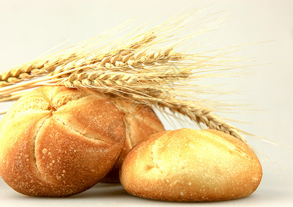 黑麦领域家自制全麦小面包背景