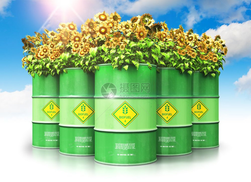 创意抽象生态替代可持续能源和环境保护节约商业概念3D表示一组绿色金属生物燃料桶或柴油黄向日葵花在蓝天的云和太阳光在白色背景上隔离图片