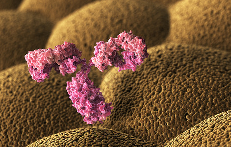 糖蛋白人体抗immunoglobulin3D插图人类抗体immunoglobulin背景