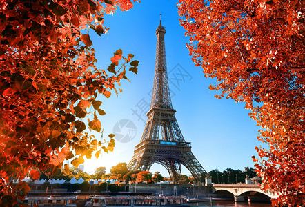 Eiffel铁塔和法国巴黎的Mamele树图片