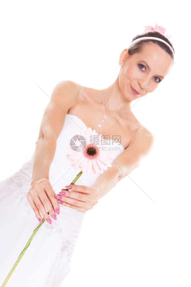 穿着白色婚纱的迷人美丽新娘穿着白色婚纱盛粉红色的格贝拉花朵美丽的年轻女孩与白色背景隔绝在一起图片