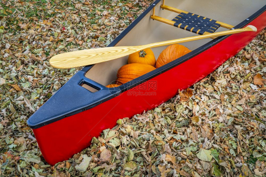 红独木舟中的南瓜和桨与干叶背景图片