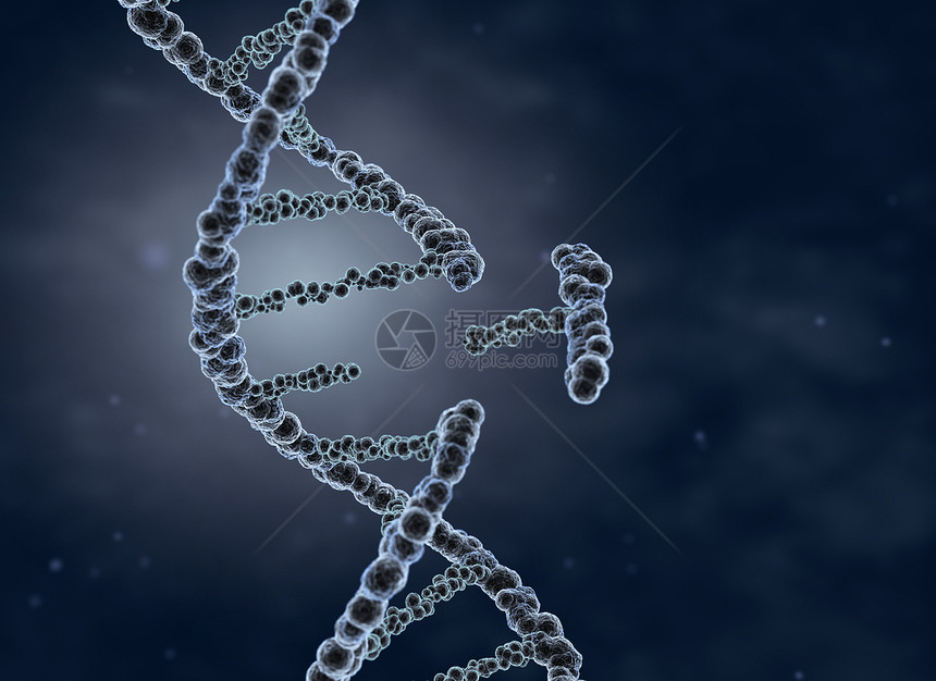 遗传工程和基因操纵概念3D说明遗传工程和基因操纵概念图片