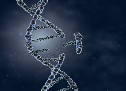 螺旋形的人造的遗传工程和基因操纵概念3D说明遗传工程和基因操纵概念背景