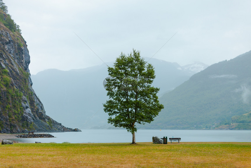 在欧洲弗拉姆挪威Fjord山附近的平面板和长凳雾日挪威fjord附近的平面板和长凳挪威Fjord附近的平面板和长椅图片