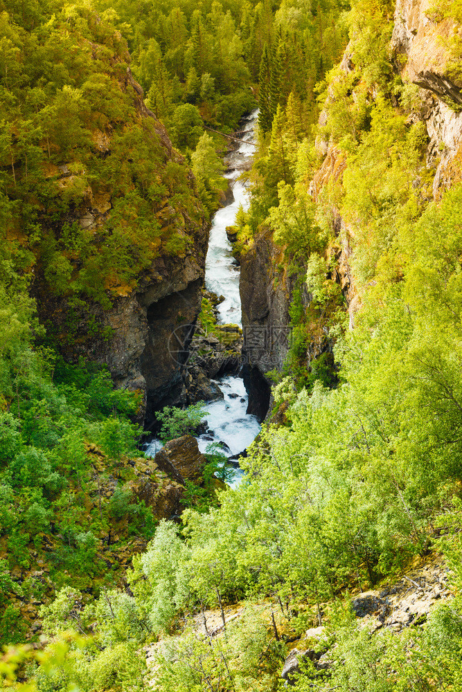 山上的小溪流来自挪威的图象图片