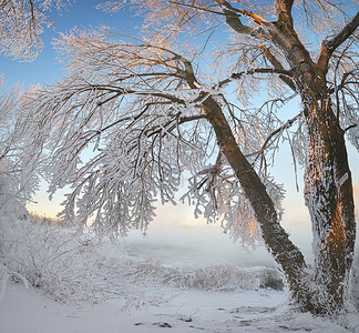 冬季全景观自然的构成图片