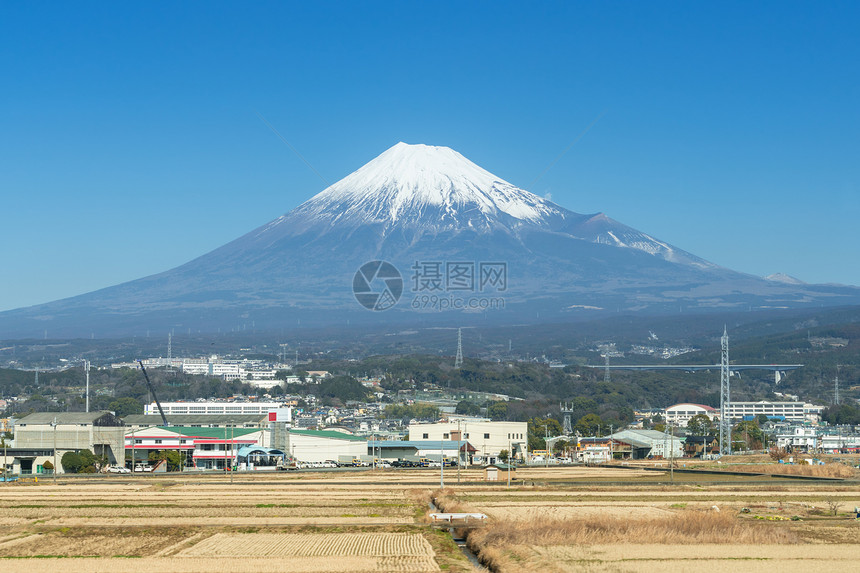 日本农村和田野三藤图片