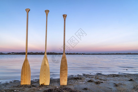 黄昏时在湖岸三木独舟桨图片