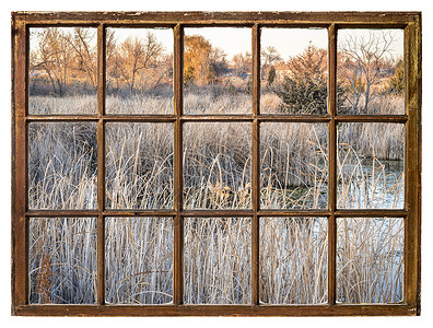 科罗拉多北部湿地的秋天风景从一个古老的树窗上看到图片