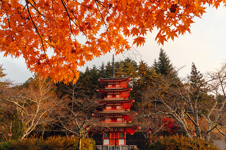秋叶日本藤雄田建筑有自然景观树木图片