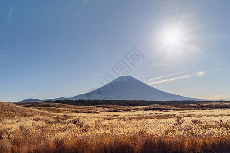 中午12点在日本山桥藤川口富士山有阳光干燥的植物自然景观背景