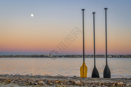黄昏时在湖边的岸上立起三条长的悬浮桨图片