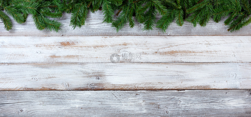 圣诞长青树的顶端边界白旧木头上的绿色树枝图片
