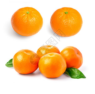 普通话橘子柑白种水果图片