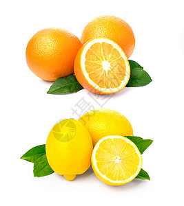 白底孤立的柑橘水果图片