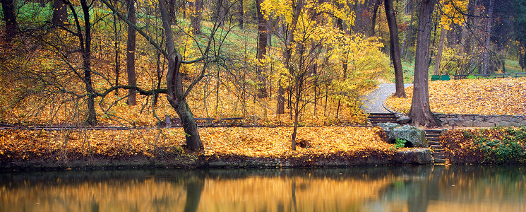 秋天风景自然的构成图片