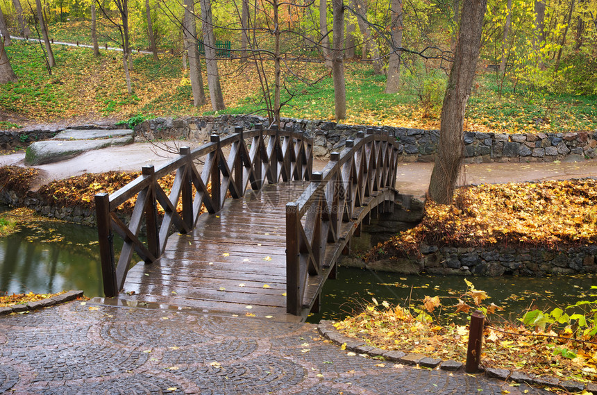 秋天风景公园的桥梁自然构成图片